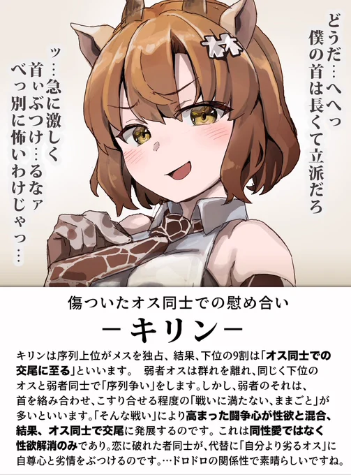へきな いきもの図鑑24