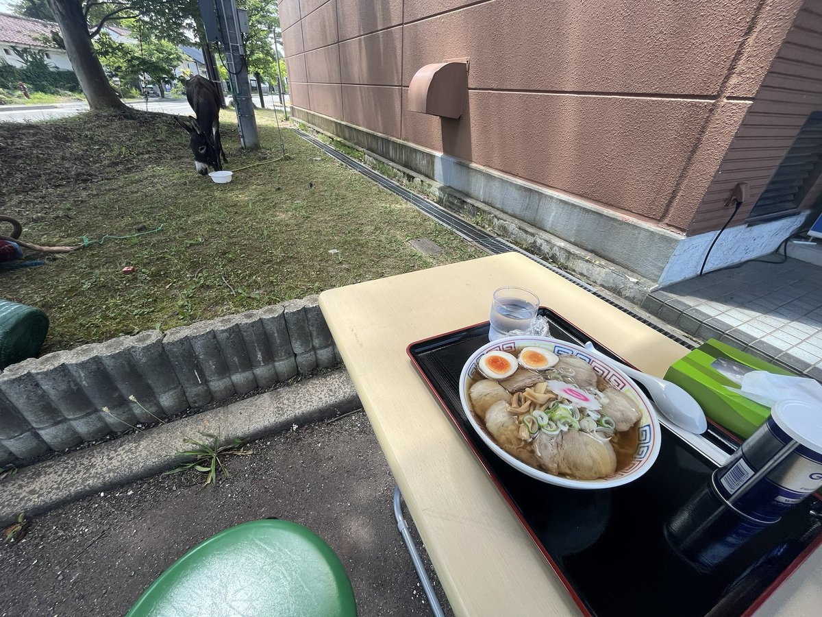 taromar_u's tweet photo. 今日一番の楽しみであるラーメン屋へ。ロバの様子が気になるので外で食べてもいいですか、と従業員さん��相談すると、クサツネを眺められる特等席を用意してくれた。ロバと旅をする人すべてにオススメしたいラーメン屋だ。 https://t.co/O76f8h9IVo