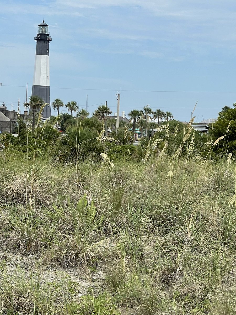 Tybee Island Lighthouse never disappoints  @VisitTybee @DiscoverTybee