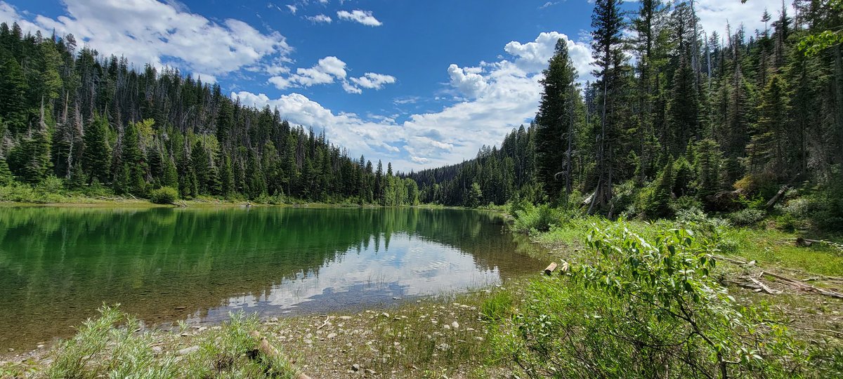 p a r a m e t r tweet media