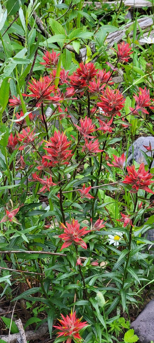 p a r a m e t r tweet media