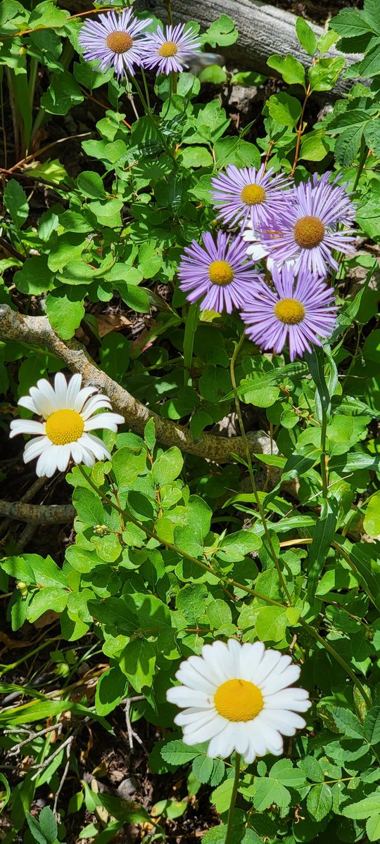 p a r a m e t r tweet media