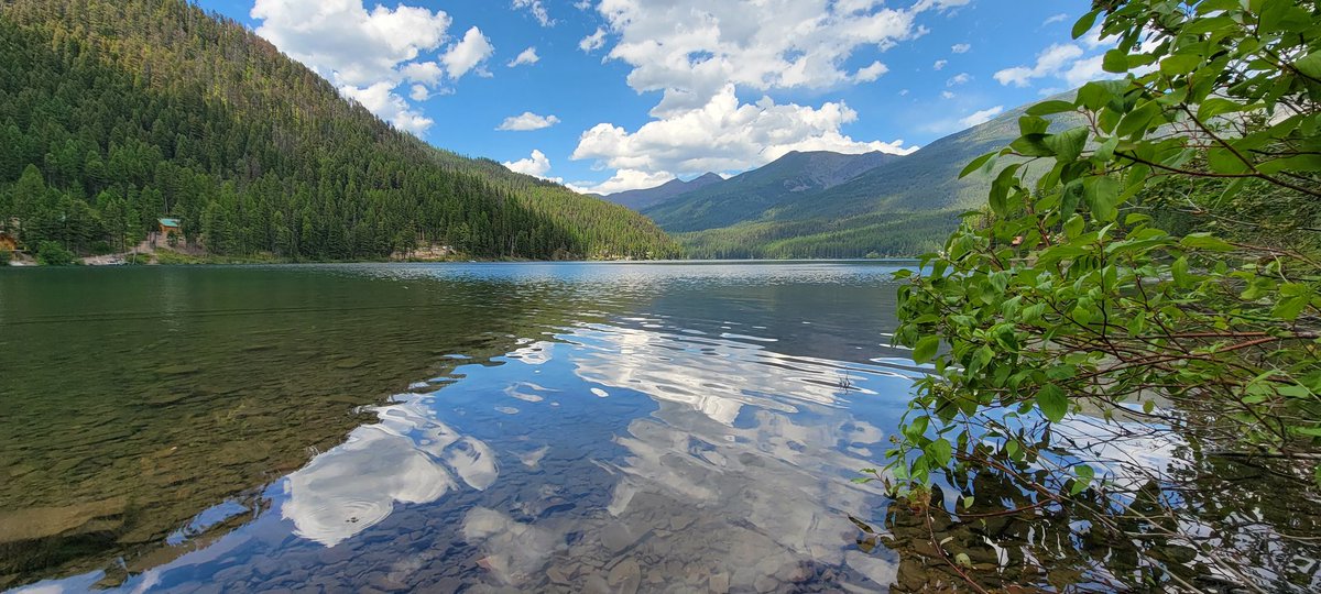 p a r a m e t r tweet media