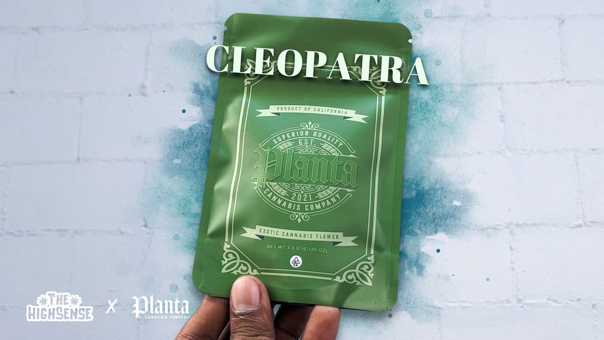 thehighsense's tweet photo. Late night weed Review out on our YouTube 👀🔥

https://t.co/l5dKszAijN

We got out on by @natty_labs_ on some Cleopatra by @planta_ca , this is some Strawberry 🍓 Szkillato (strawberry gelato x Zkittlez) https://t.co/XbBd8ixta6