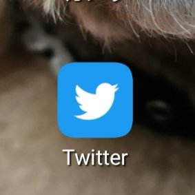 加藤瑠菜@Latteart☕.◦*.＊。🇯🇵 tweet media