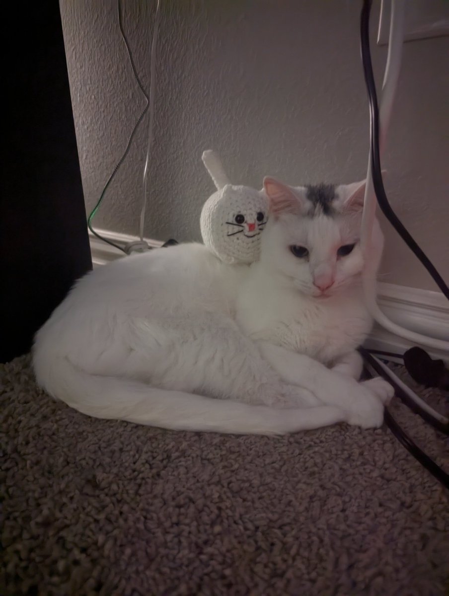 sleepiestgrrl's tweet photo. Mr and Mrs Bug https://t.co/HK8Yggu2hp