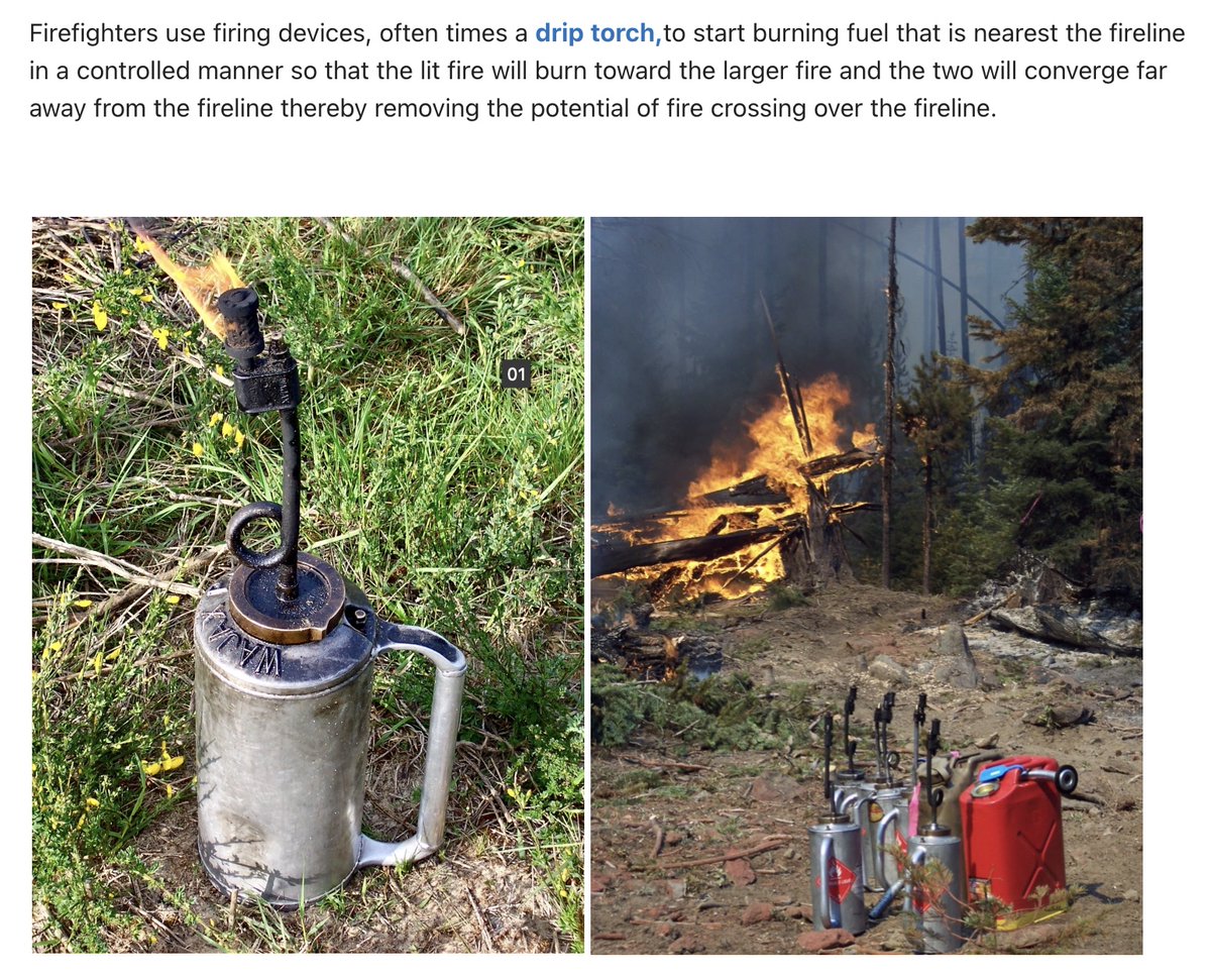 wildland_zko's tweet photo. Want to learn more about the nuts and bolts of wildfire and wildland firefighting? You're in luck. We just published a great article 'Wildfire 101' on The Lookout written by veteran wildland firefighter Brè Orcasitas. 
https://t.co/RWZBrftDuz https://t.co/pIBKXUEwsm
