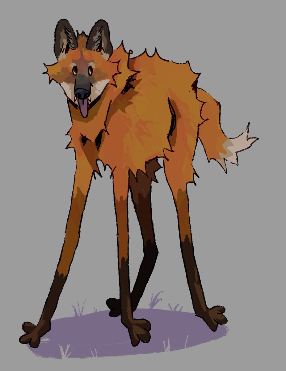sharkflan's tweet photo. maned wolves are great. everyday is leg day https://t.co/alKwNuAUZ7