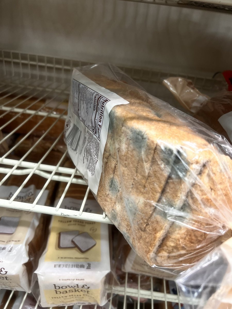 Just Taj tweet media