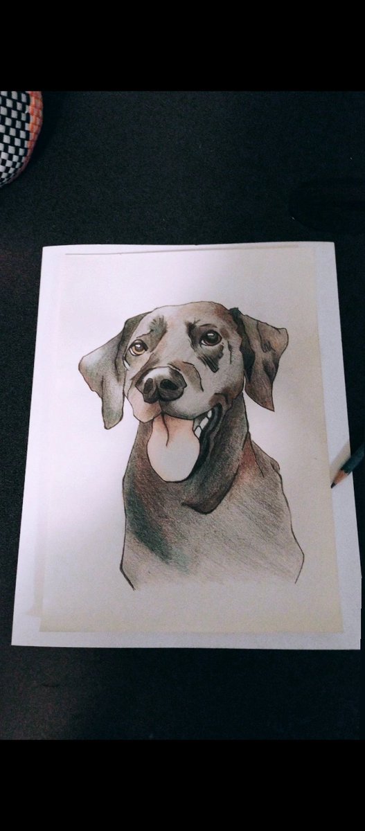 Still Life tweet media