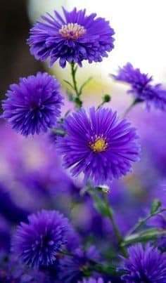 #loyal #AMY🅰️
<a href="/Alaayous3/">alaa amy</a>
<a href="/nor3rh/">💎Nor elrhman💎</a>
<a href="/mny012/">.مني</a>
<a href="/Liliylc/">Liliana López Cadena</a>
@si9shi
<a href="/aal866/">الاميرة</a>
<a href="/linaassil_assil/">Linaa Alassill2</a>
<a href="/amalshey_a/">امل❤️ الخير ❤️الشمري</a>
@MrAlharbi13
<a href="/SinghDevikas/">Devika Singh</a>
<a href="/patry_moni/">Pato!!!!</a>
<a href="/yvidalaqui2/">YvonneVidal</a>
<a href="/1centilimen/">HOŞGÖRÜLÜYÜM</a>
<a href="/IsadoraReal_/">🇦🇪🇮🇳 🇱🇧Isadora 🦋اميرة صغيرة 🧕</a>
<a href="/ZoryAntequera/">ZoryAntequera.</a>
<a href="/blancanievesch/">lilymarlen🍎🌝🌞</a>
@Thatgain
<a href="/ch10nb/">warrior</a>
<a href="/Nmr_A1/">🌺🌼ꋊ꒐ꂵꋪꋬ ꂵꋬꋪꇙꁝꋬ꒒꒒🏵️🌸</a>
<a href="/Meire49050201/">Meyre</a>
@ij069
<a href="/pelisoro/">Baba Je🦅🧙‍♀️🌌😎</a>
<a href="/hanan44886/">om Mostafa🇸🇦🇸🇦🇵🇸</a>