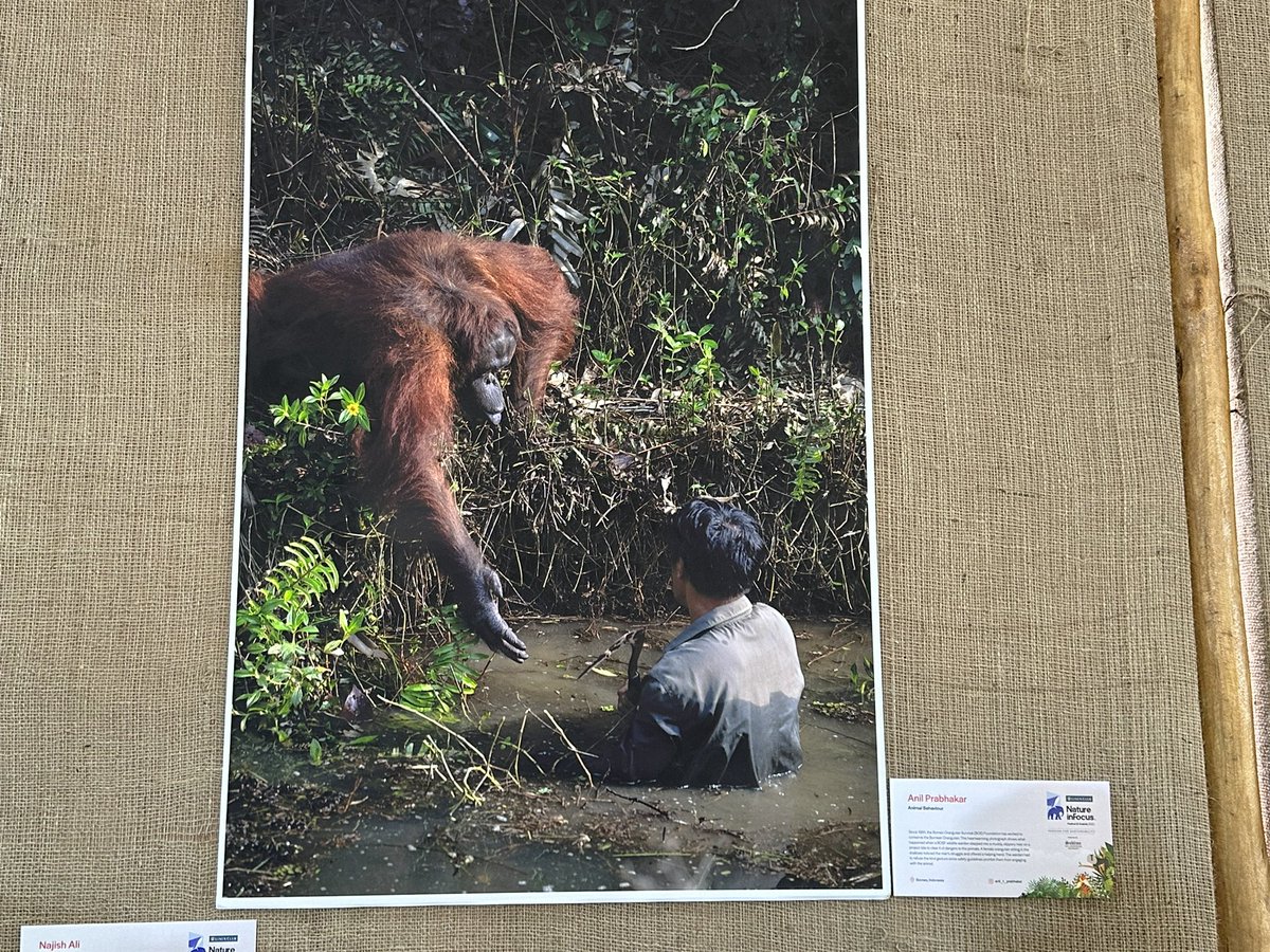 Dr. Brijesh Makadia tweet media