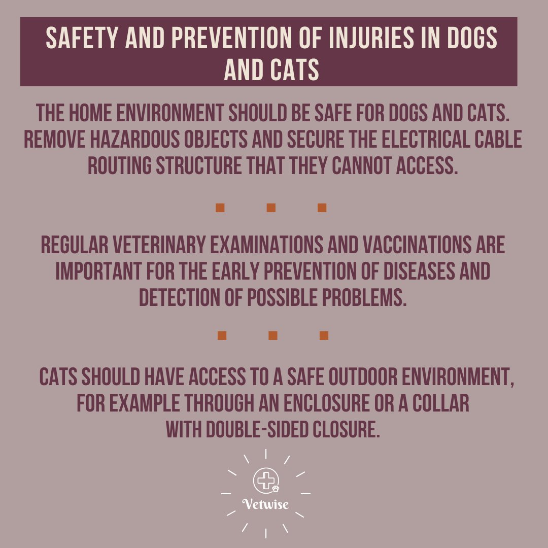 Safety and prevention of injuries in dogs and cats.

Tips for securing the home environment and protecting health

#safety #health #cat #dog #dailytips #education