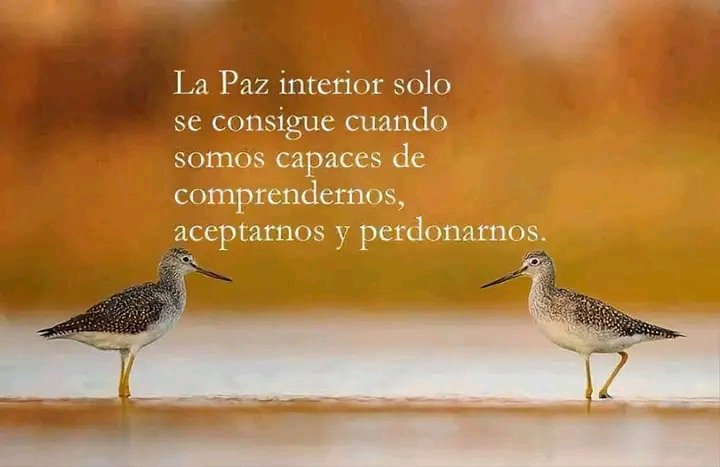CelsaAlcantar28's tweet photo. https://t.co/zHh7zVeW5J
