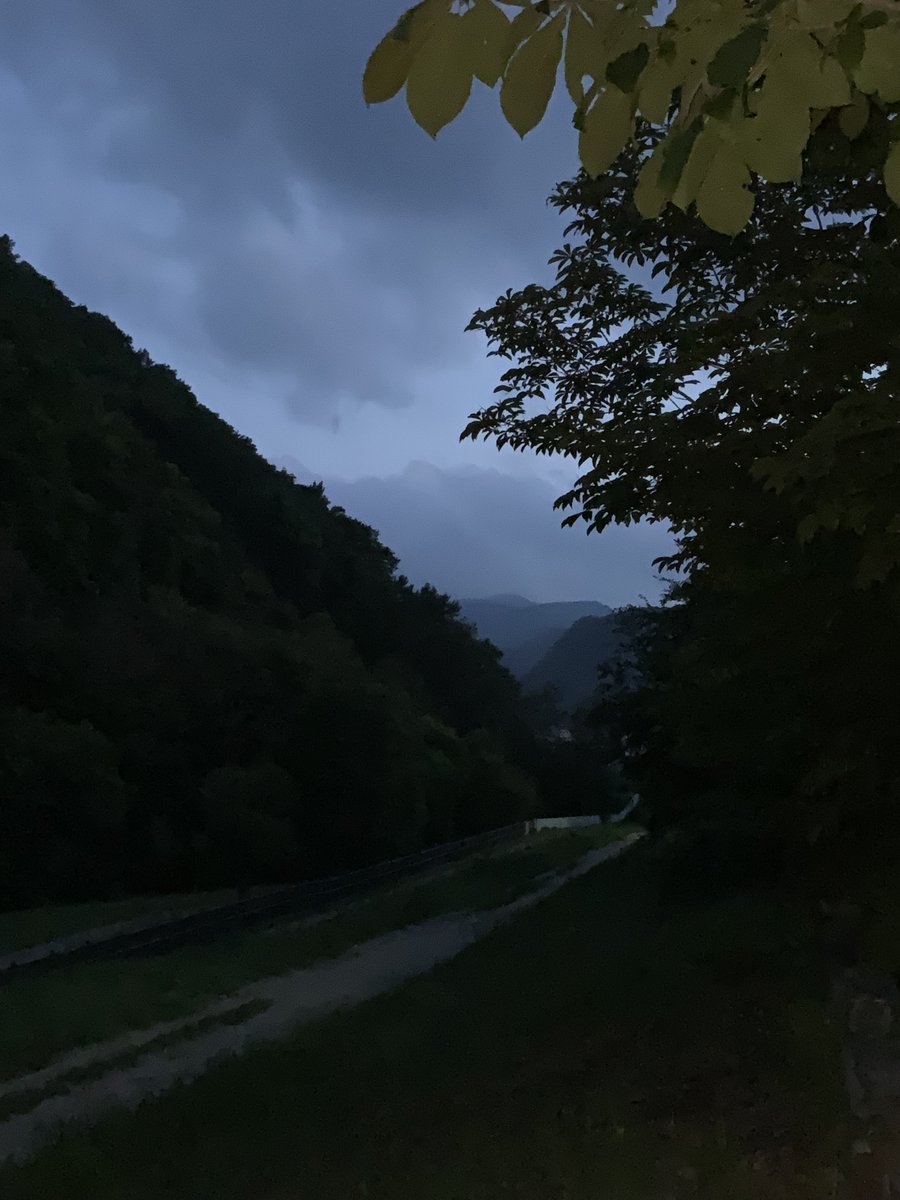 A mountain walk yesterday evening in Hokkaido…