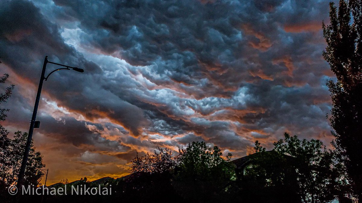 MichaelNikolai5's tweet photo. Its a beautiful night for a thunderstorm in Edmonton! π€©
#absorm
#Yeg
#stormhour
#ShareYourWeather https://t.co/eTS7lgNCWa