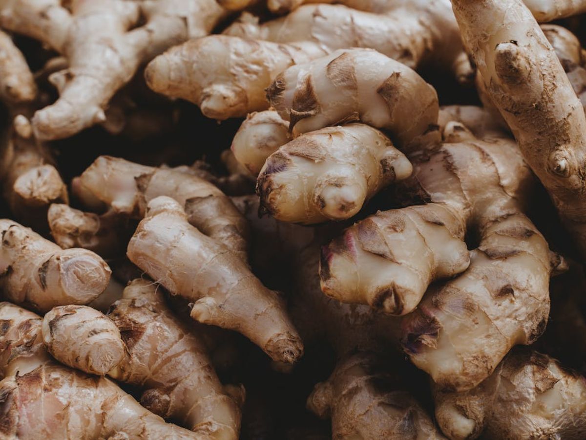 ZeeBusiness's tweet photo. 🍛 India's top 10 ginger-producing states revealed!
Discover the highest and largest ginger producers in each state.

WEB STORY: https://t.co/nWCg8ORIhX

#GingerProduction #SpiceOfIndia #Agriculture https://t.co/b82abZQKoq