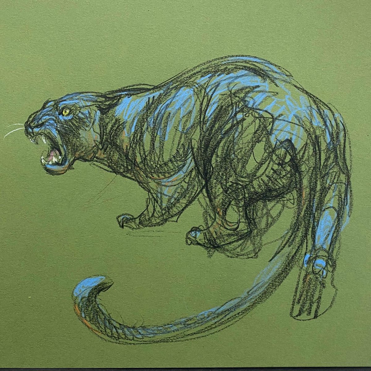 David  Colman (@davidsdoodles27) on Twitter photo 