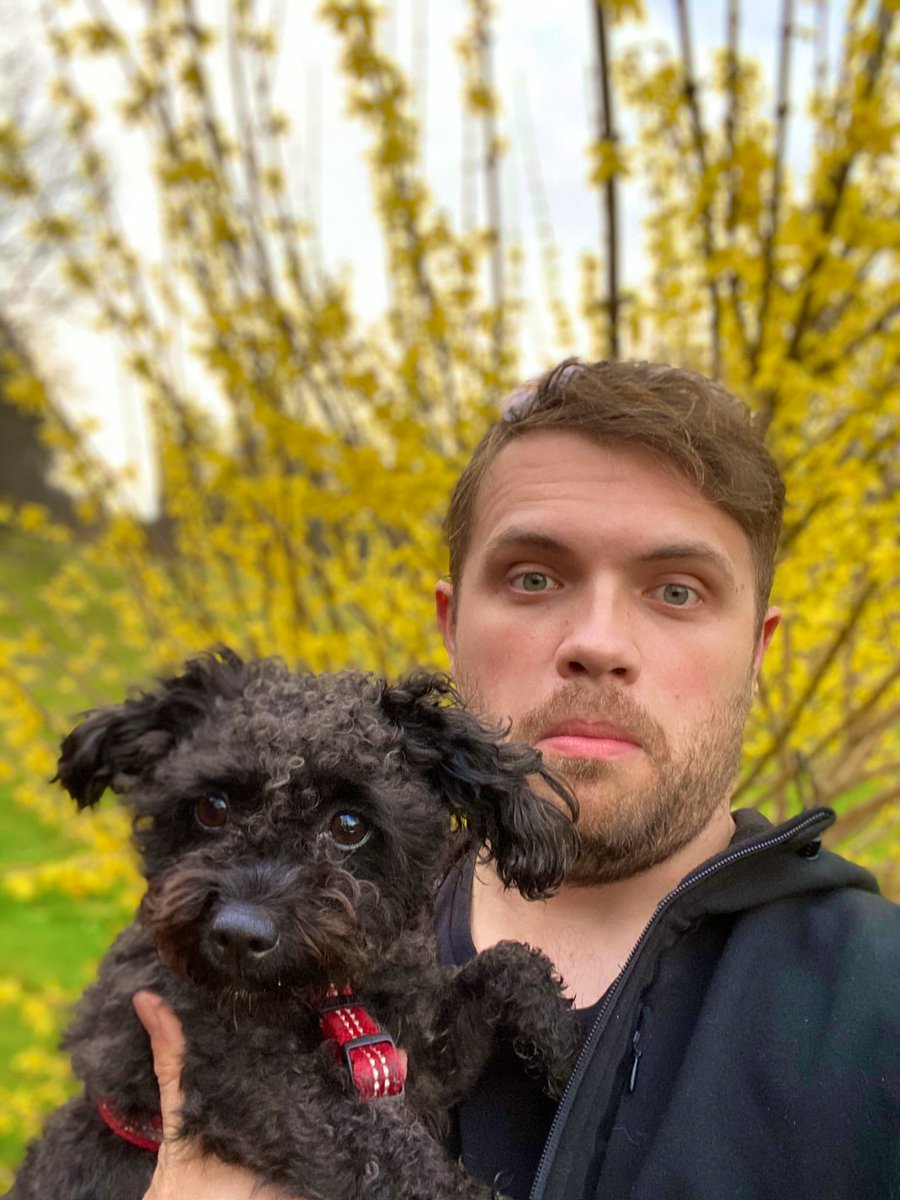 PeriodicallCody's tweet photo. @Phil_Sledge Luna is the Poodle and Harvey is the dachshund. https://t.co/IVgbDEawLe