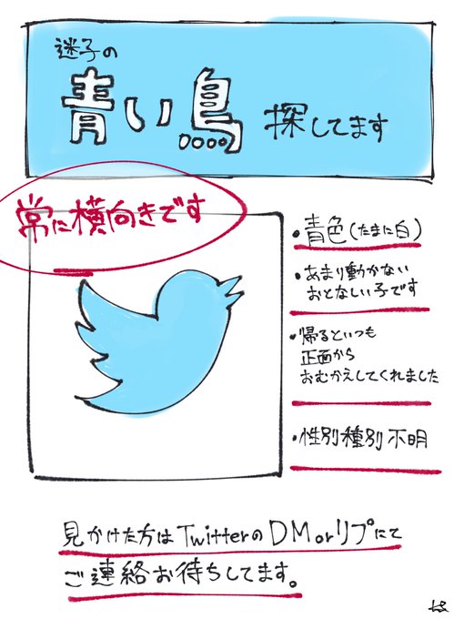 長いこと一緒にいた画像の青い鳥が 今日の昼頃行方不明になってしまいました 見かけた方ご連絡お待ちしてます