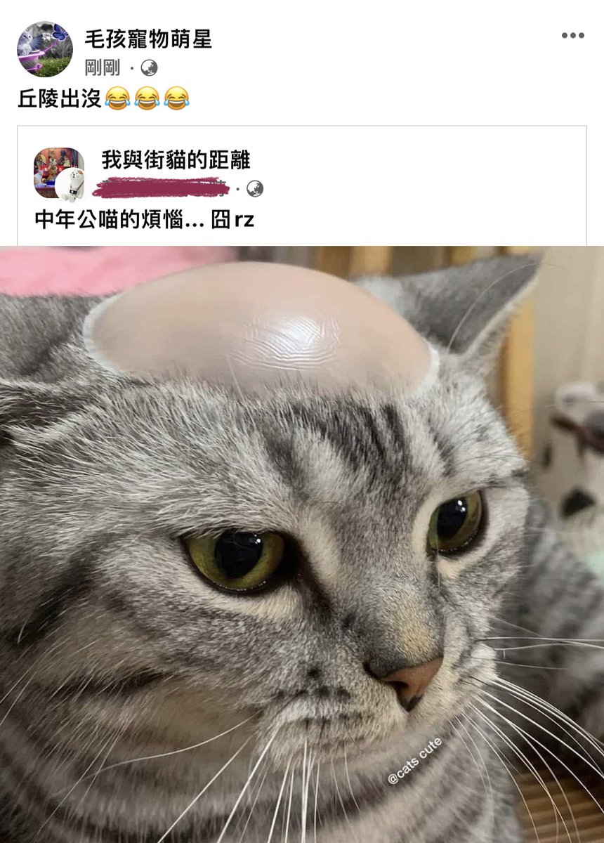 丘陵地的煩惱～😂😂😂