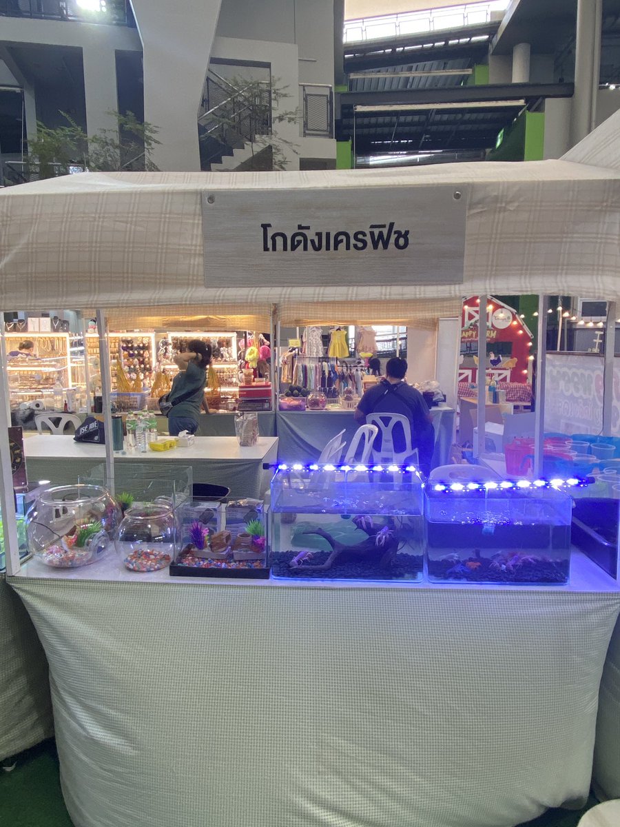 Who is in Thailand in Bangkok? You can visit my crayfish shop at Thanya Park Srinakarin Shopping Center