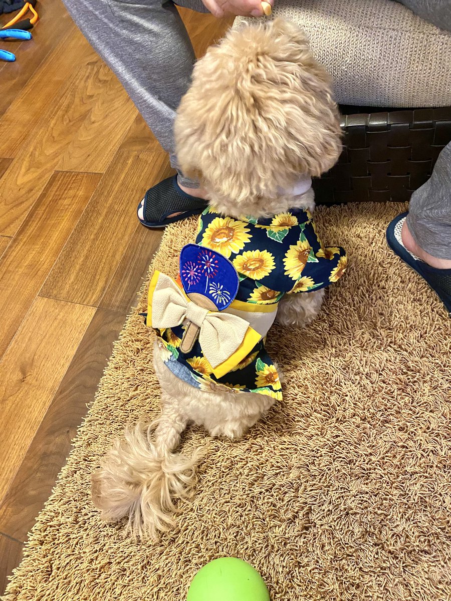 comani_rita's tweet photo. 去年から着てるこの浴衣がとてもお気に入り〜〜🧸🌻世界一浴衣似合うよ！！だいすきだよ！！！！！！ https://t.co/OapSa2XNh5