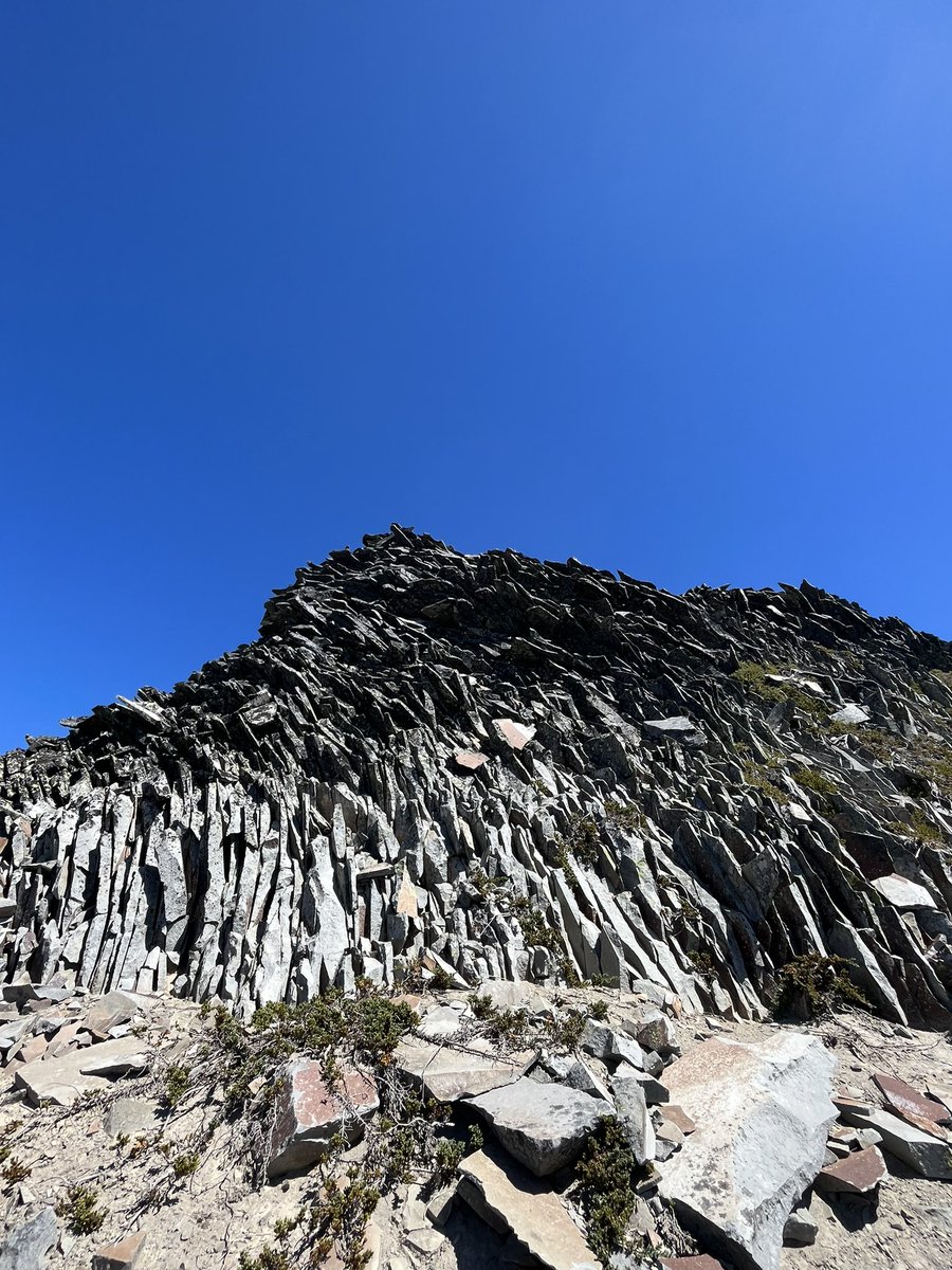 abby hudak tweet media