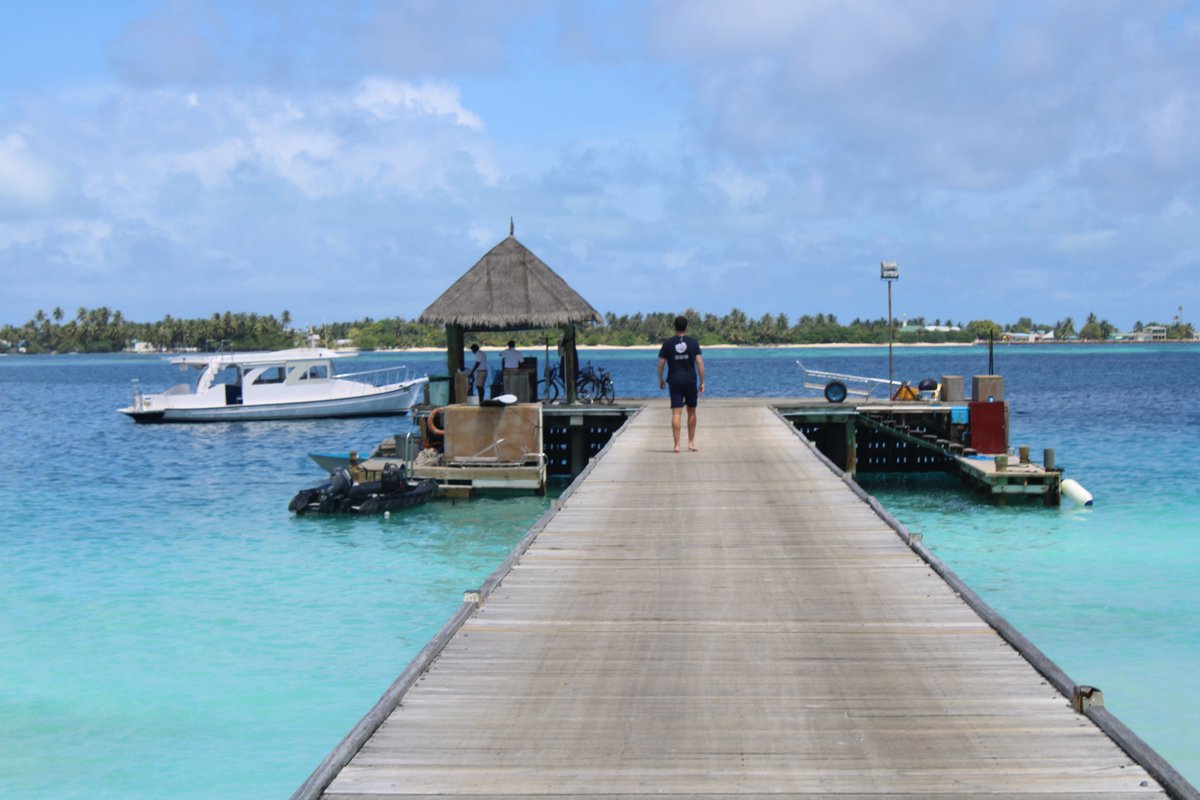 ResilientReefs's tweet photo. After being successfully demonstrated at @sixsenses Laamu, we are now delighted to be bringing the programme to Six Senses Kanuhuraa, @ayadamaldives and @amillamaldives over the coming weeks!
Stay tuned for updates!
#fishfortomorrow #sustainableseafood #sustainabletourism https://t.co/2cJFvbDT6J