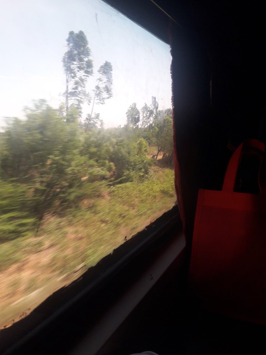 manodotdev's tweet image. booking tickets early turned out to be good, got side lower berth, peaceful