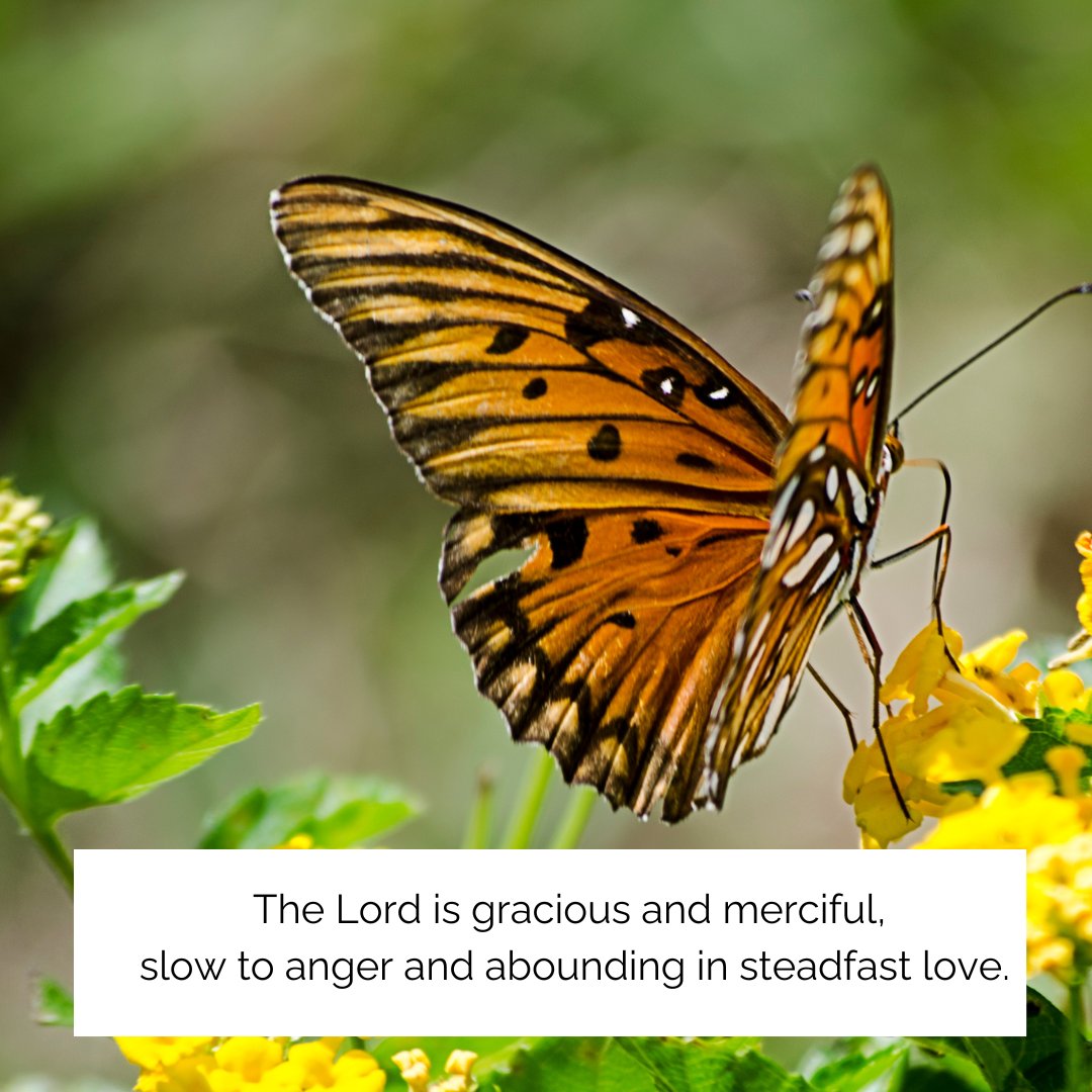 #DailyPrayer #DailyVerse