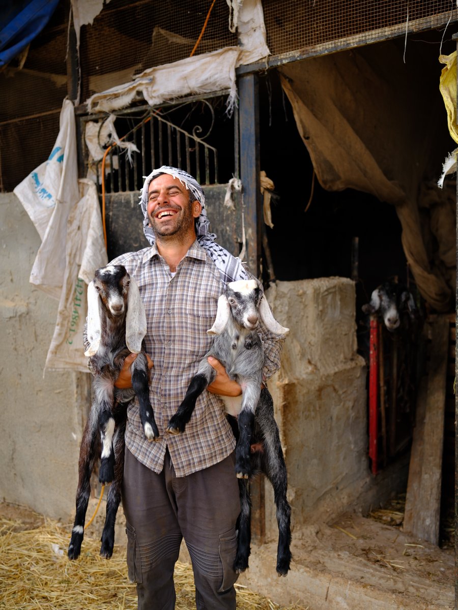 📍Jalqamous, Palestine 
Abu Sadiq. Part-time teacher, Full-time farmer.
#palestine #canaan #oliveoilfarmer