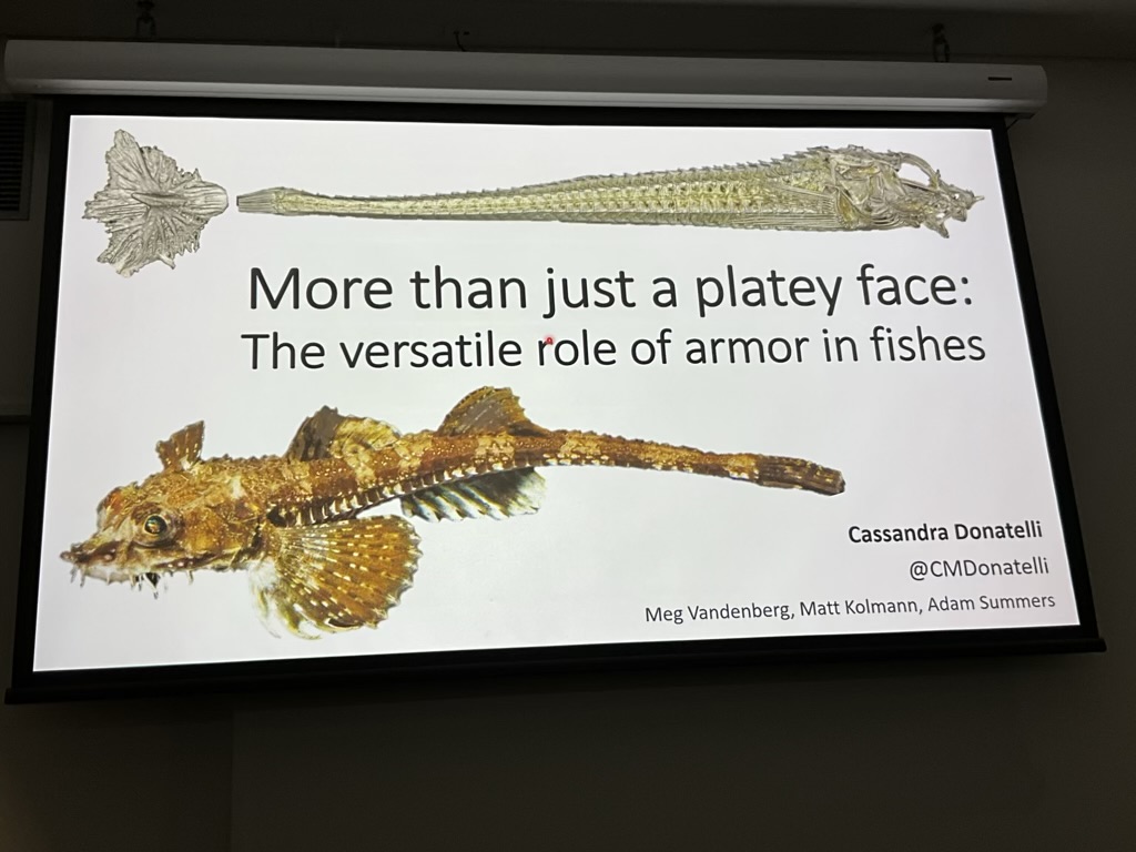 Adam P. Summers tweet media