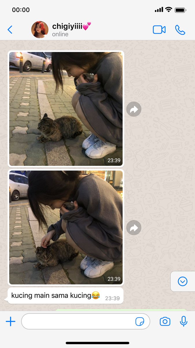 CHIIMORR13's tweet image. #chigisagi #cgis two tweet au
fem!chigiri × fem!isagi
cw // g×g

kucingnya chigiri lebih kucing daripada kucing. paham?