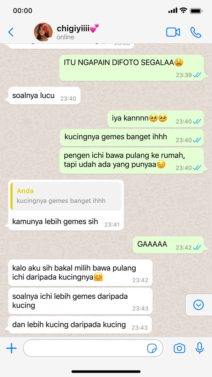 CHIIMORR13's tweet image. #chigisagi #cgis two tweet au
fem!chigiri × fem!isagi
cw // g×g

kucingnya chigiri lebih kucing daripada kucing. paham?