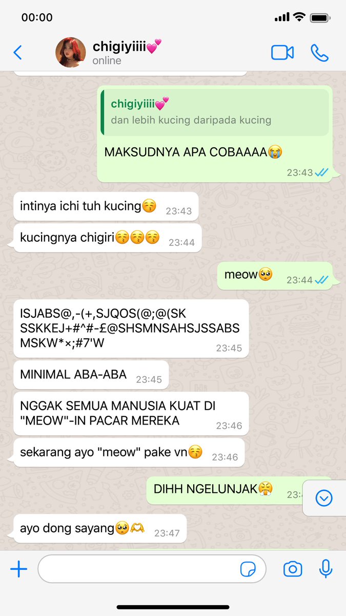 CHIIMORR13's tweet image. #chigisagi #cgis two tweet au
fem!chigiri × fem!isagi
cw // g×g

kucingnya chigiri lebih kucing daripada kucing. paham?