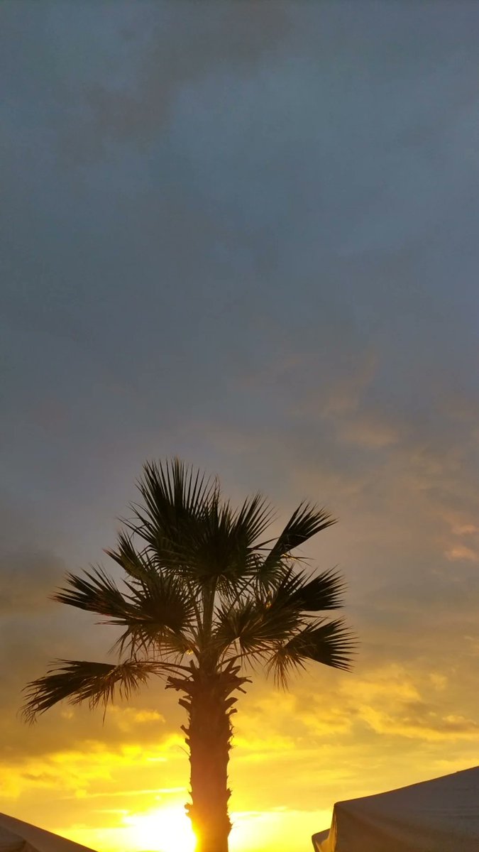 Fatoş Aydın (@fatoss_ss) on Twitter photo 