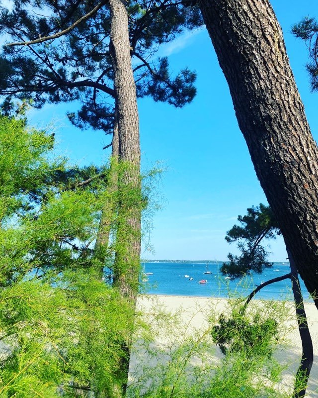 ApafedO's tweet photo. Grâce aux @LesPEP33  2 familles accompagnées par les équipes de l’APAFED ont pu bénéficier de quelques jours de vacances sur le Bassin D’Arcachon.   

Un magnifique séjour de découverte, d’évasion et de répit pour les femmes et les enfants. 

#vacancespourtous #bassinarcachon https://t.co/HHmOrWckMy
