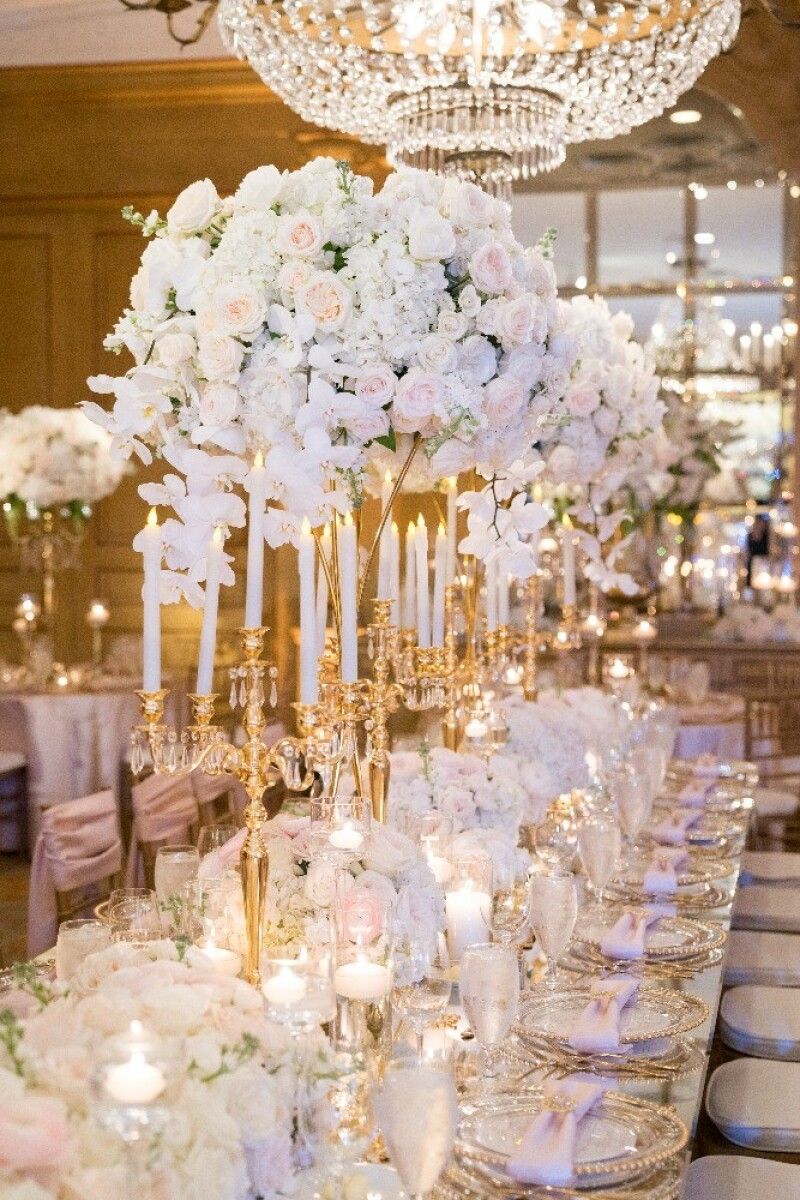 AasmaCandy55487's tweet photo. Top Wedding Event Management Hall in Lahore 2023
https://t.co/EyNU1YIz4d
#MLGFROG #Brock #ุงููุตุฑ_ุณููุชุง_ูููู #TemptationIsland #Ethane #Mitch #้ฃไผๆใ #Zach #ุงูุนู
ุฑู #Ariana #Saquon #Monchi #RogerGuedes #Dalton #Celta #Giants #Isco #Gabriela #Shrimp #ใผใใตใ #Mirko #ๆไบใกใใ https://t.co/JfTGVExJBU
