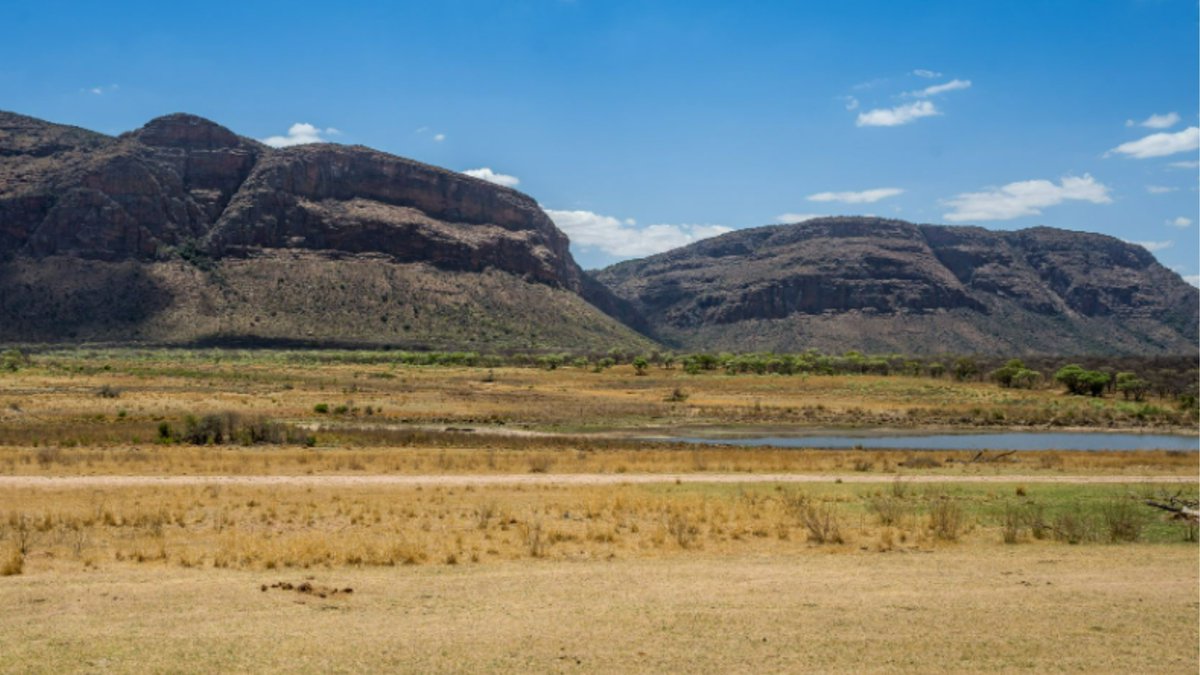 Nestled within the Entabeni Reserve, Hanglip fuses the raw beauty of the African wilderness and stylish modern design. With dramatic escarpment views, let your heart soar with the eagles within this haven of beauty.

✅Book Now - entabeni.co.za/lodges/hanglip/
