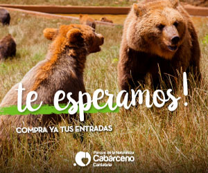 PCabarceno's tweet photo. ¡Planifica tu visita a #Cabárceno y compra tus entradas online de forma rápida y segura! 🎟️🦁🐘🌳 
Disfruta de un día inolvidable en medio de la #naturaleza y la vida salvaje. 👇
https://t.co/RCulp9iVOX #CabárcenoMásXDescubrir 🐾🌞 https://t.co/yJay1mMTHZ
