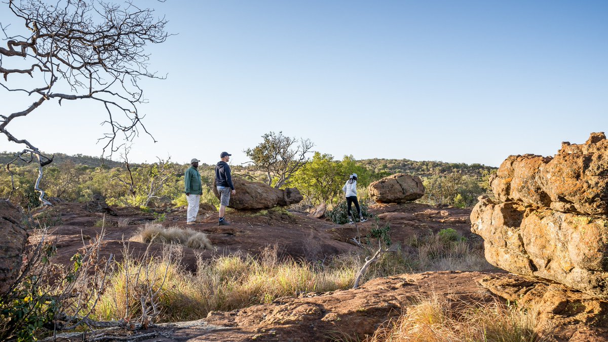 Unleash your wanderlust at Entabeni! 

Here are a few reasons to book your next holiday at Entabeni.

1️⃣ Majestic Wildlife Encounters 
2️⃣ Breathtaking Scenic Beauty
3️⃣ Thrilling Safari Adventures
4️⃣ Tranquil Nature Retreat
5️⃣ Unforgettable Memories Guaranteed!
