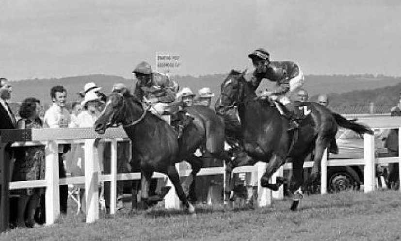 The 1980 Goodwood Cup formed the middle leg of a memorable triple header between Le Moss and Ardross. Edging his rival by 3/4L in the Ascot Gold Cup, Le Moss finished a neck in front at Goodwood (picture), and repeated that margin in the Doncaster Cup.