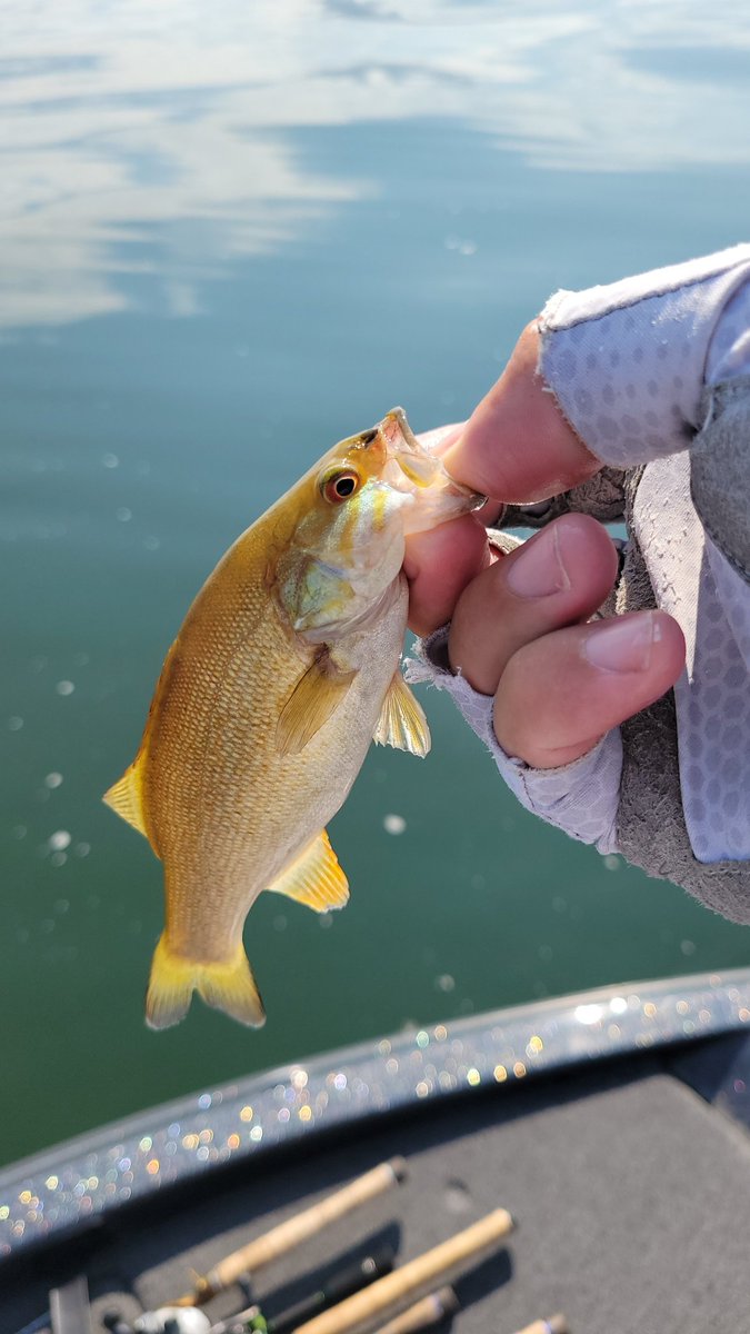 HellaBass tweet media