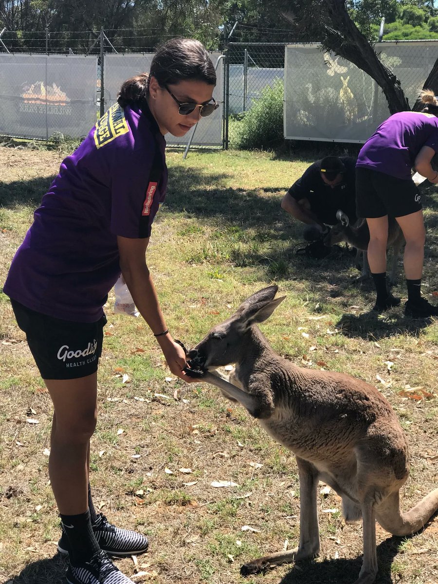 Sam Kerr casually feeding a kangaroo #AUS