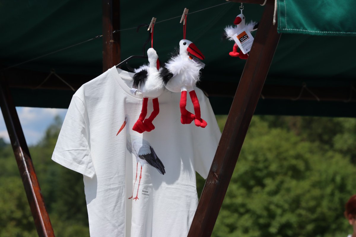 BirdLifeSI's tweet photo. V soboto smo na Griču pri Klevevžu z varuhi bele štorklje praznovali že 25. zaporedni popis bele štorklje v Sloveniji. V sproščenem vzdušju smo se podružili in izmenjali izkušnje.
Hvala družbi @ElektroLj, ki je omogočila prvo Srečanje varuhov bele štorklje. https://t.co/zmksFggih6