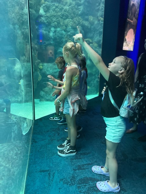 OurSaviorFLsch's tweet image. Summer Camp goes to the Florida Aquarium! #osls #livelove #golivelove #aquarium