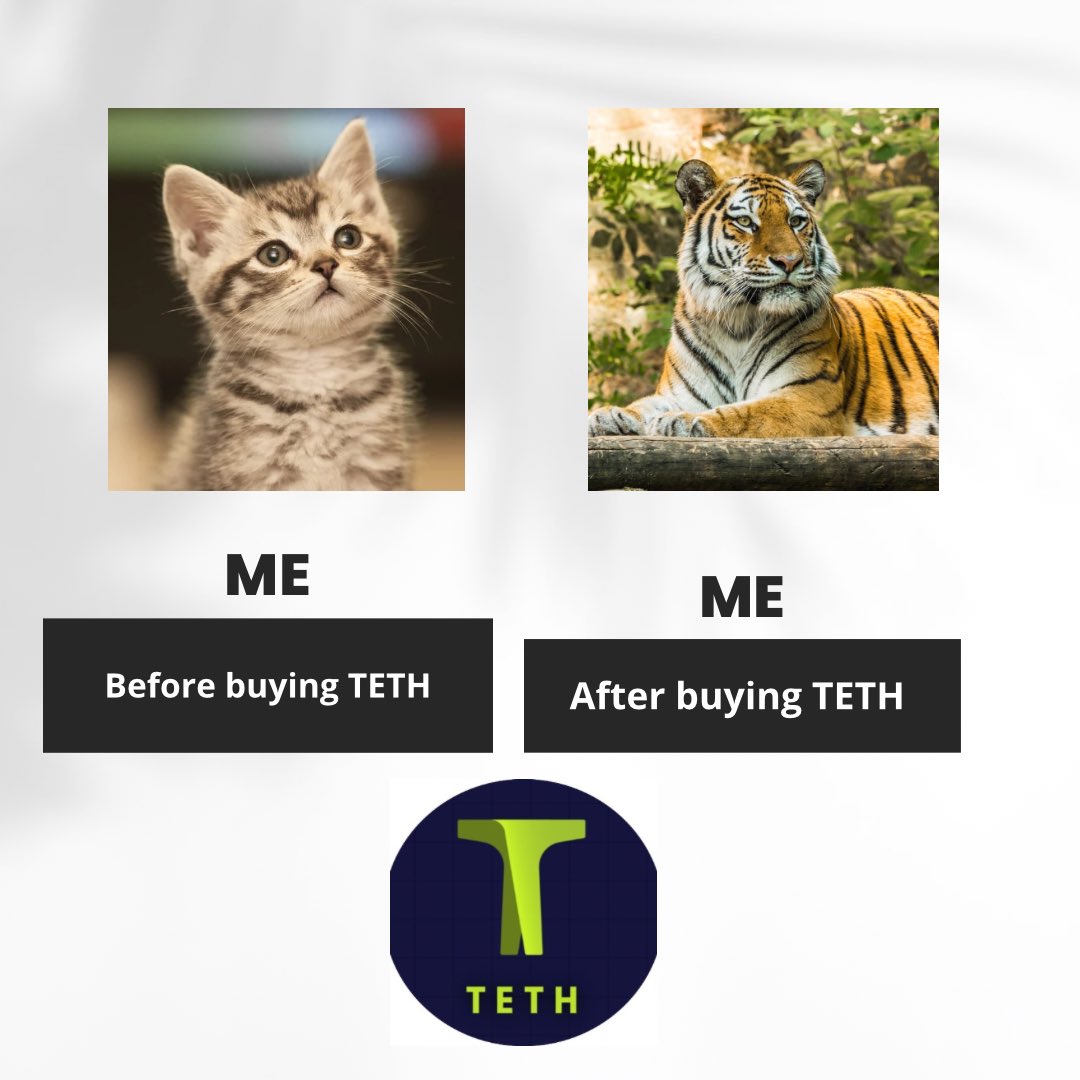 zazashhhh's tweet image. My entry @1TETH 

Y’all get ready to buy #TETH 
#Web3