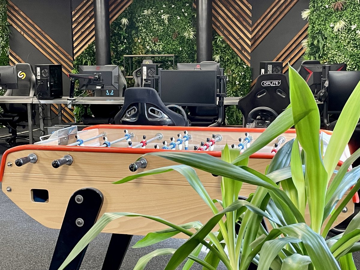 Homyno 🐉 tweet media