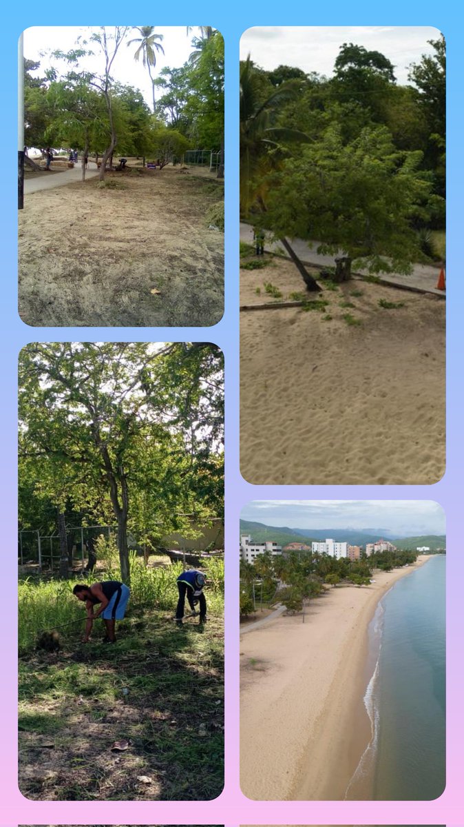 Shikre Rassi tweet media